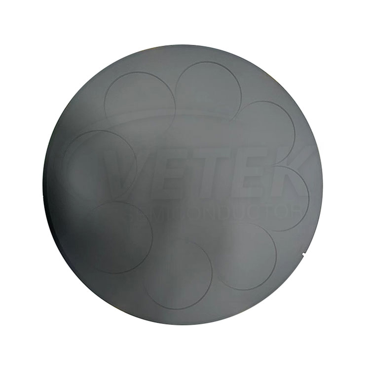 LPE PE3061S 6 ''WAFERS 용 SIC 코팅 팬케이크 감수자