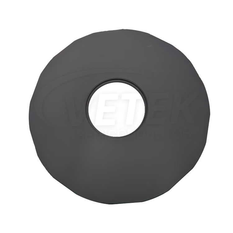 LPE PE2061S에 대한 SIC 코팅 지원